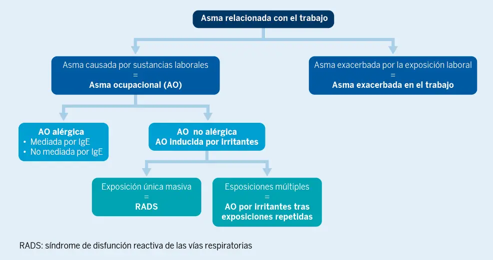 Figura 1. Tipos de asma relacionada con el trabajo. Es importante distinguir el asma ocupacional (AO) del asma exacerbada en el trabajo. El AO puede tener una causa alérgica o ser inducida por irritantes a concentraciones altas (AO no alérgica)