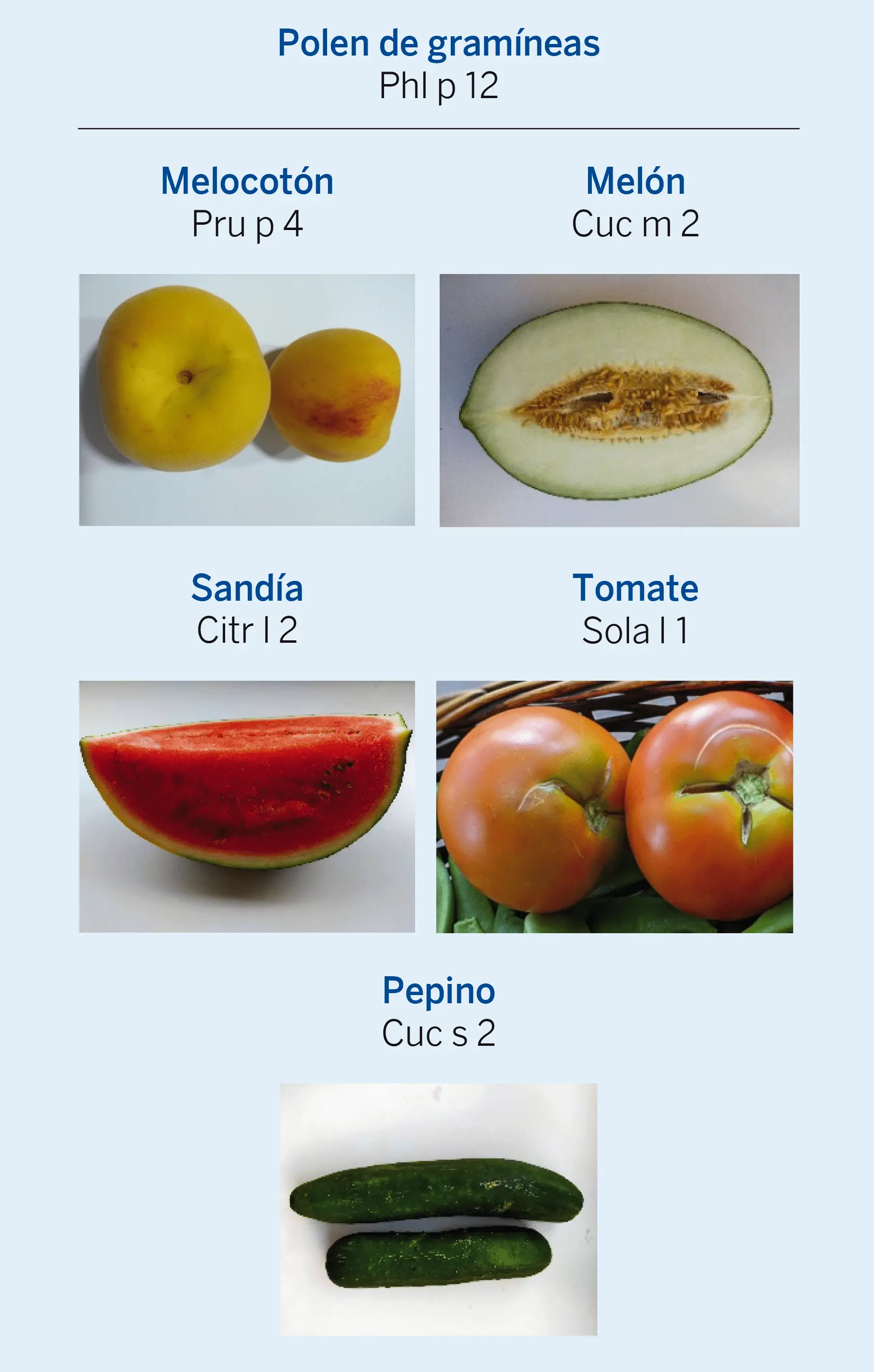Figura 2. Reactividades cruzadas en el síndrome profilina-frutas. Ejemplos de profilinas en distintos vegetales, en la nomenclatura internacional de alérgenos