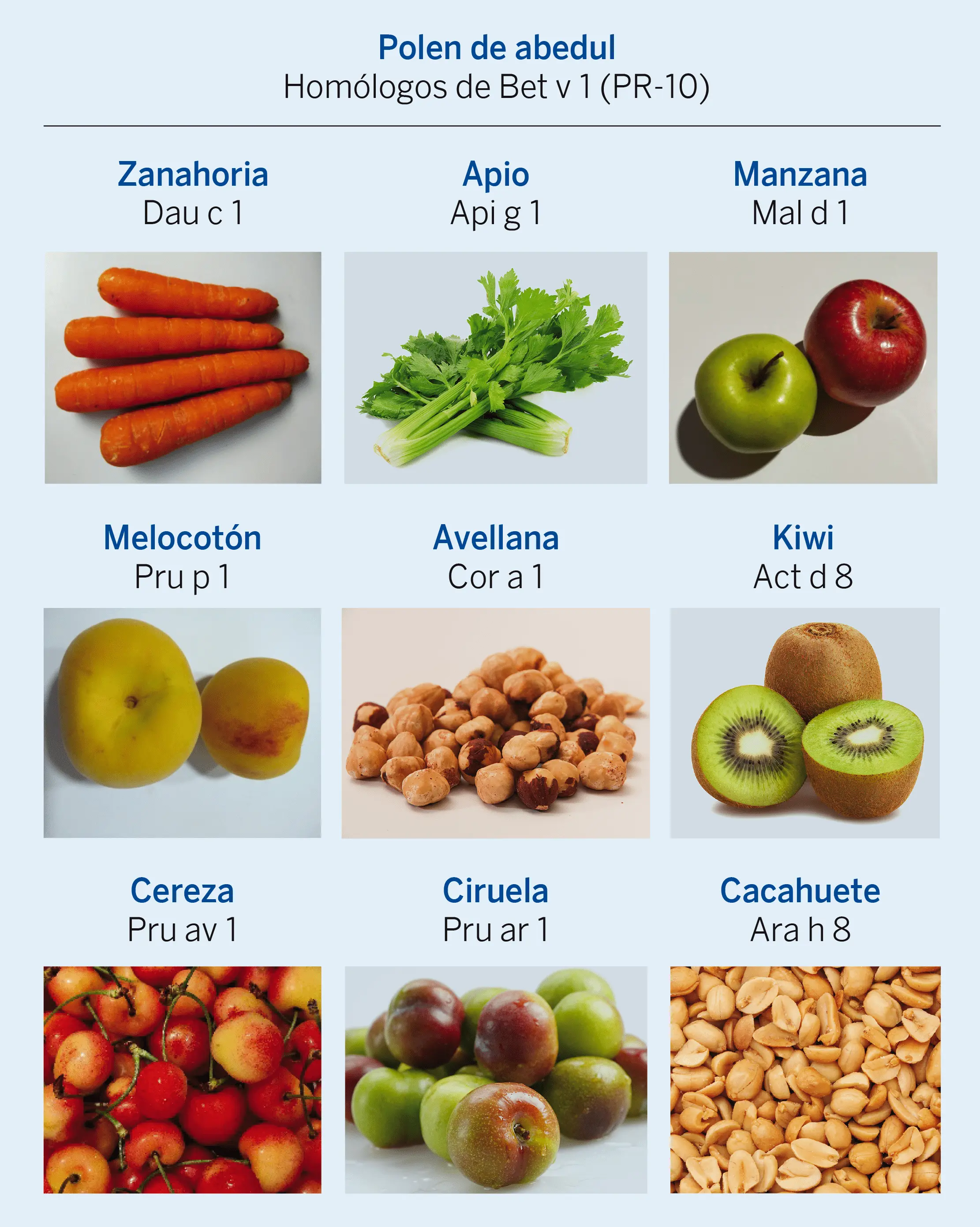 Figura 3. Síndrome abedul-frutas. Proteínas del grupo PR-10 en distintos vegetales, en la nomenclatura internacional de alérgenos