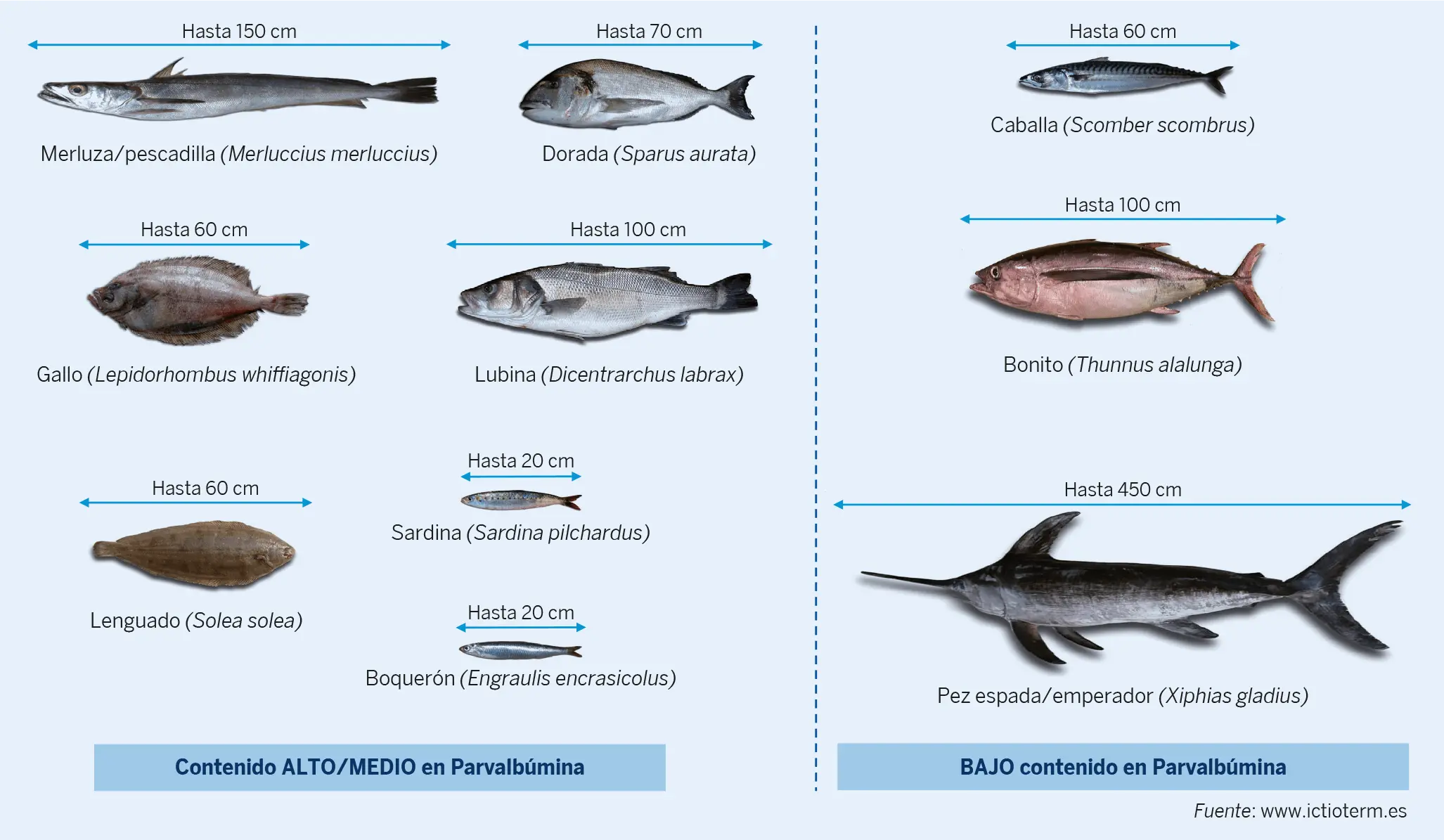 Figura 2. Pescados más consumidos en España
