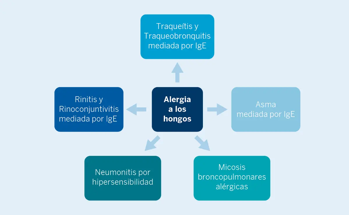 Figura 6. Espectro de la alergia a los hongos